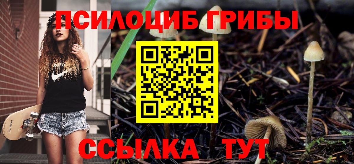 Псилоцибиновые грибы прущие грибы Гурьевск